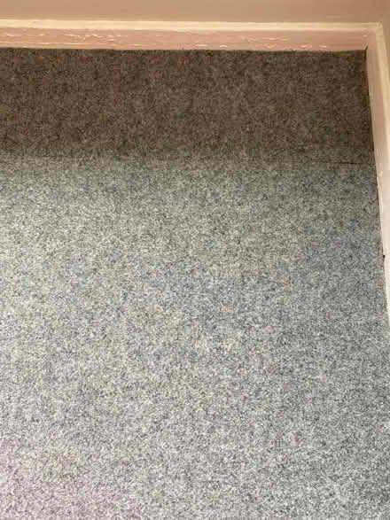 Photo of free Floor covering/carpet (G74) #3