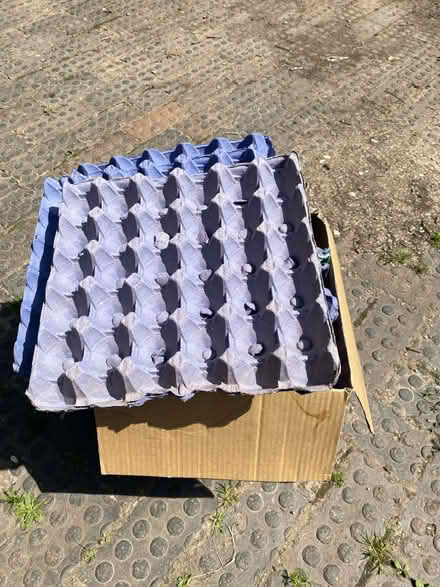 Photo of free Box of egg trays (Middlewich) #1