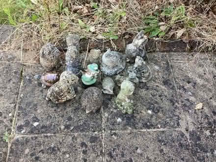 Photo of free Garden animal collection. (Woodley RG5) #1