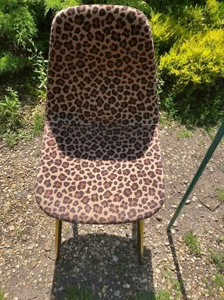 Photo of free Modern chair (Middlewich) #1