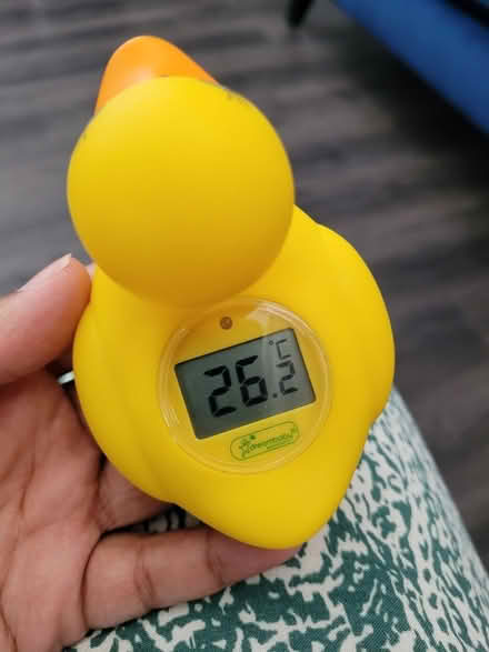Photo of free Newborn bath bowl and thermometer (Sale M33) #4