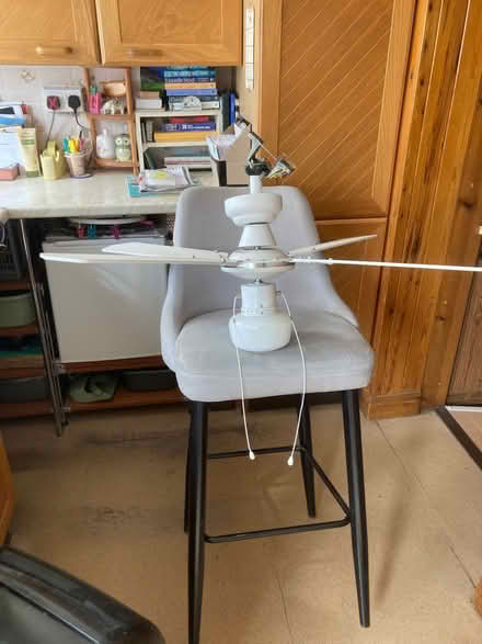 Photo of free Ceiling fan with light (Sandy SG19) #1