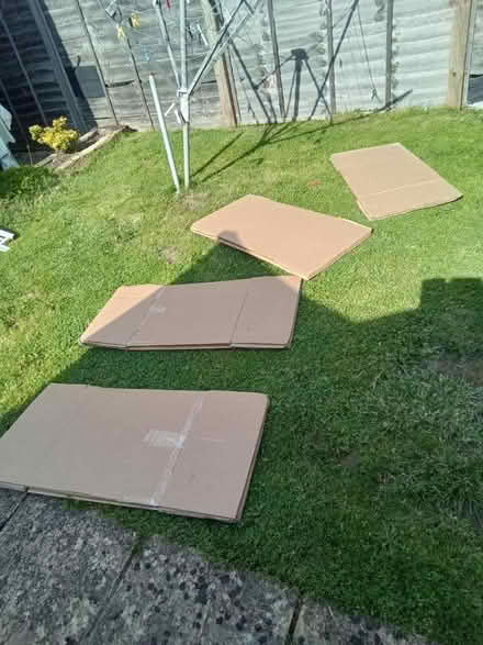 Photo of free X4 moving boxes (WD19) #4