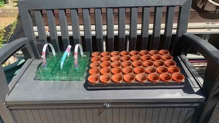 Photo of free Plant pots (Chelmsford CM1) #1