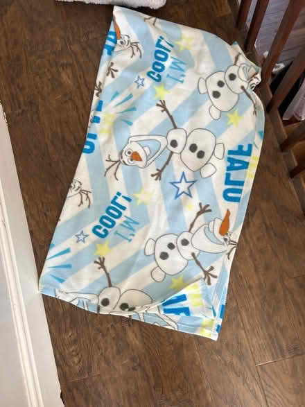 Photo of free Frozen fleece blanket (Witham CM8) #1