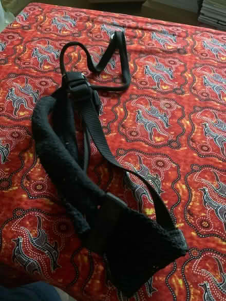 Photo of free Dog harness, to help stopping the dog pull (Bedford MK42) #1