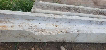 Photo of free Concrete fence posts (Shinfield RG2) #2