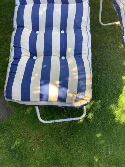 Photo of free Sun Loungers (Lingfield) #2