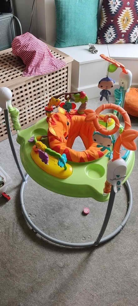 Photo of free Jungle Jumparoo (Willowbrae, EH8) #2