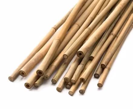 Photo of Bamboo Canes (Gorse Hill M16) #1