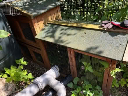 Photo of free Small Animal/Chicken Run (Shire Oak, WS8) #1