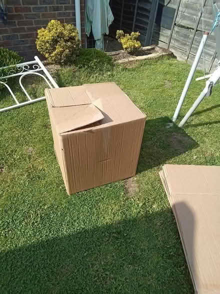 Photo of free X4 moving boxes (WD19) #2