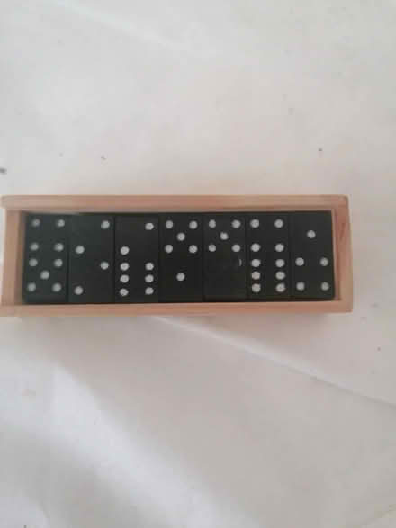 Photo of free Domino (Upper Parkstone BH14) #2