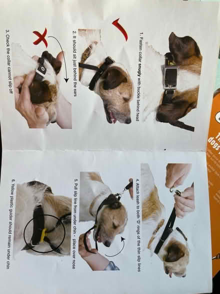 Photo of free Canny collar (NG5 Basford) #2