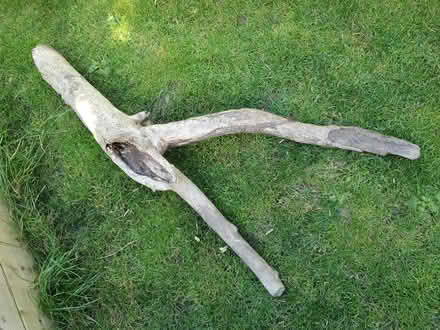 Photo of free drift wood pieces (Dublin sth, Shankill) #4