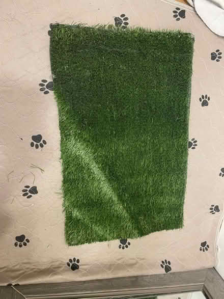 Photo of free Small Fake grass for indoor dog (Avenida Cesar and University) #1