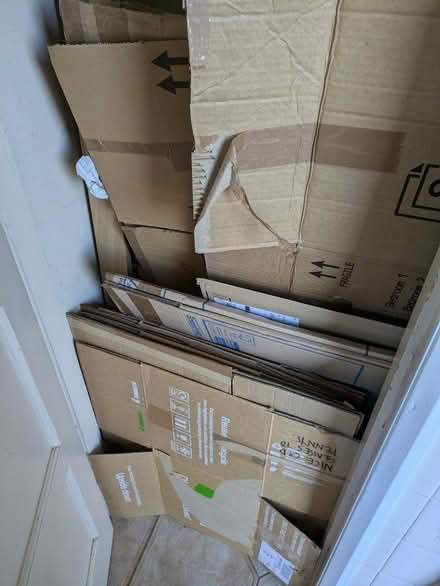 Photo of free Cardboard boxes and wrapping (Lewes BN7) #1