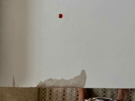 Photo of free Cabin bed (Bath & North East Somerset) #2