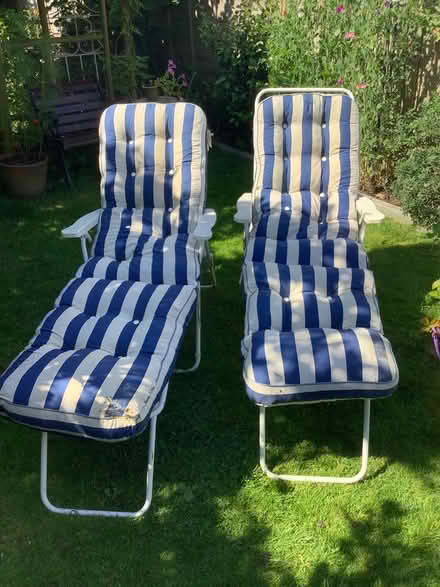 Photo of free Sun Loungers (Lingfield) #1