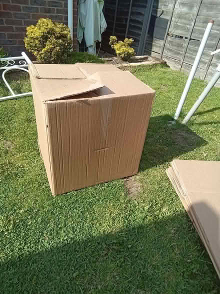 Photo of free X4 moving boxes (WD19) #1