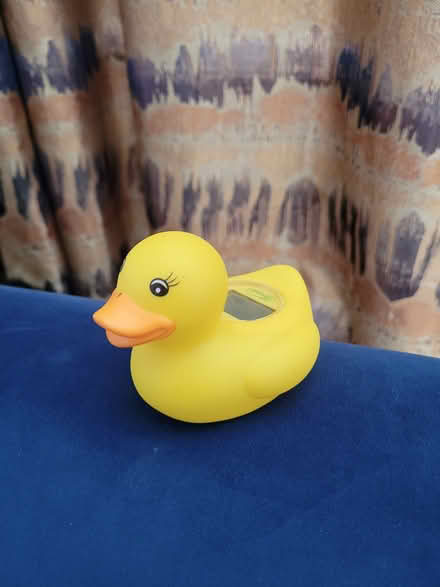 Photo of free Newborn bath bowl and thermometer (Sale M33) #3