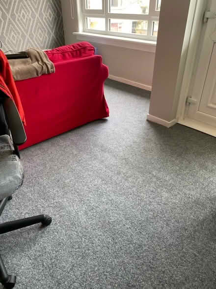 Photo of free Floor covering/carpet (G74) #1