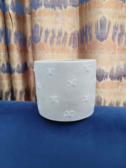 Photo of free Bee plant pot (Sale M33) #1