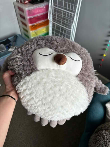 Photo of free Two soft toy hand cosies (Alyth PH11) #2