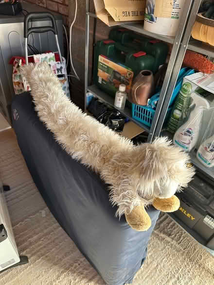 Photo of free Sheep draught excluder (Glastonbury, BA6) #2