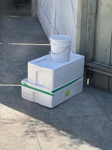Photo of free Styrofoam Cooling Containers (West Oakland) #1
