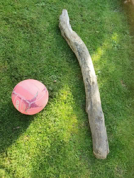 Photo of free drift wood pieces (Dublin sth, Shankill) #3