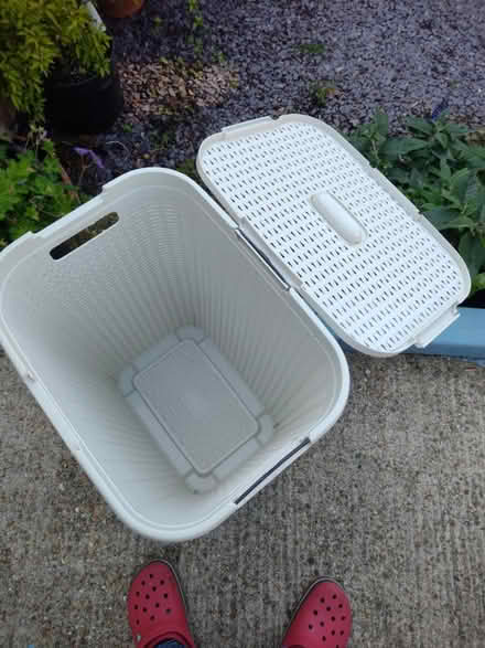Photo of free Laundry Basket (Havant) #3