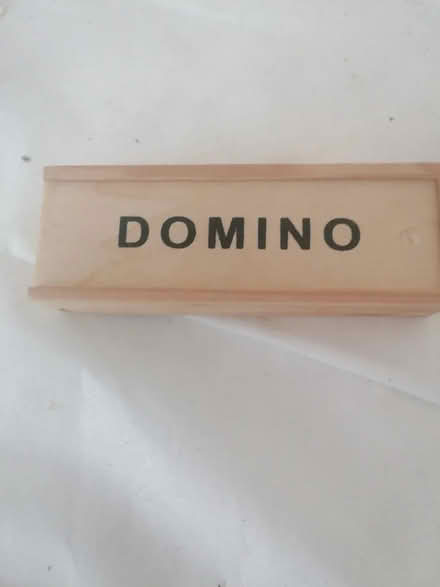 Photo of free Domino (Upper Parkstone BH14) #1