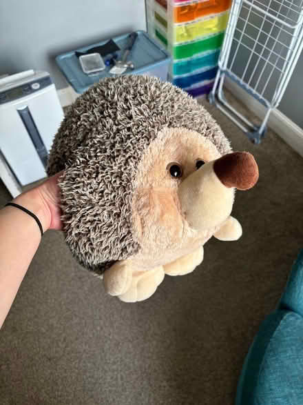 Photo of free Two soft toy hand cosies (Alyth PH11) #1