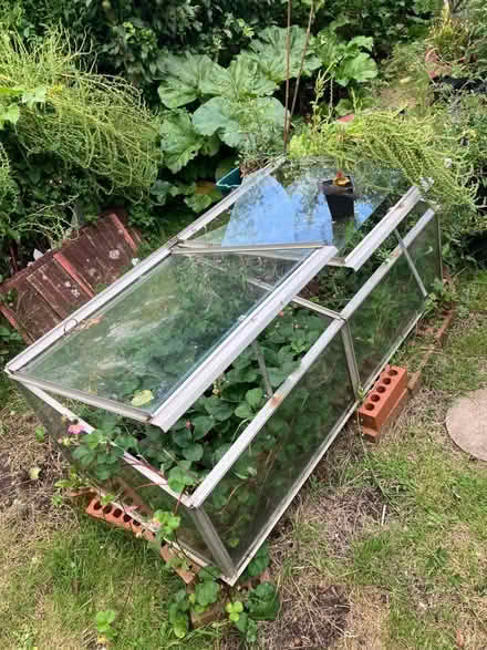 Photo of free Cold frame (Marshalswick AL4) #1