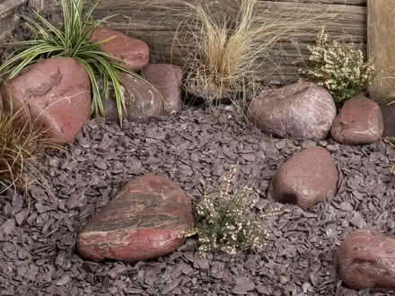Photo of free Tumbled Fish Friendly Garden Stone (West Town WF13) #4