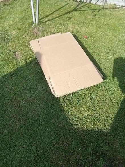 Photo of free X4 moving boxes (WD19) #3