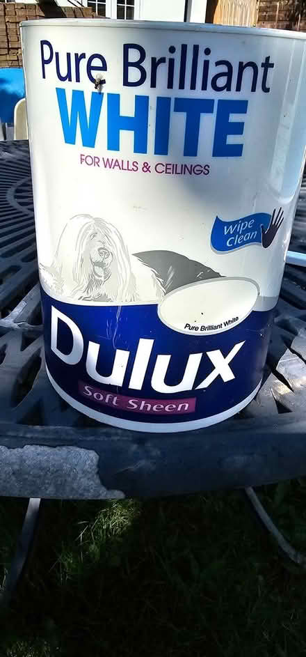 Photo of free Dulux Brilliant White Paint (Rickmansworth WD3) #1