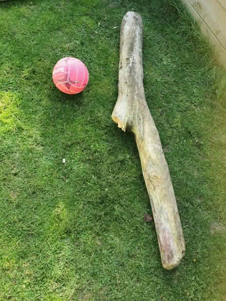 Photo of free drift wood pieces (Dublin sth, Shankill) #2