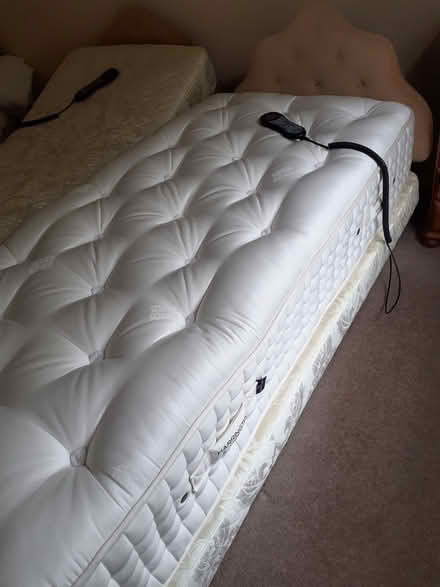 Photo of free Two adjustable beds (Crowborough Warren TN6) #3