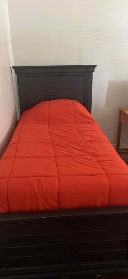 Photo of free Orange twin comforter (Westchase Fl) #1