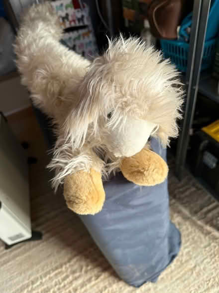 Photo of free Sheep draught excluder (Glastonbury, BA6) #1