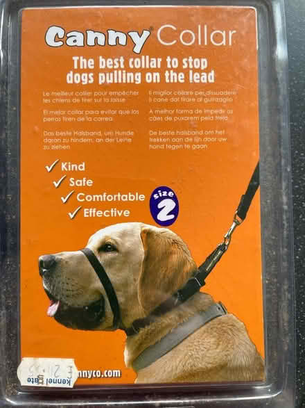 Photo of free Canny collar (NG5 Basford) #1