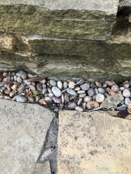 Photo of Stones for edging of patio (Marshalswick AL1) #1