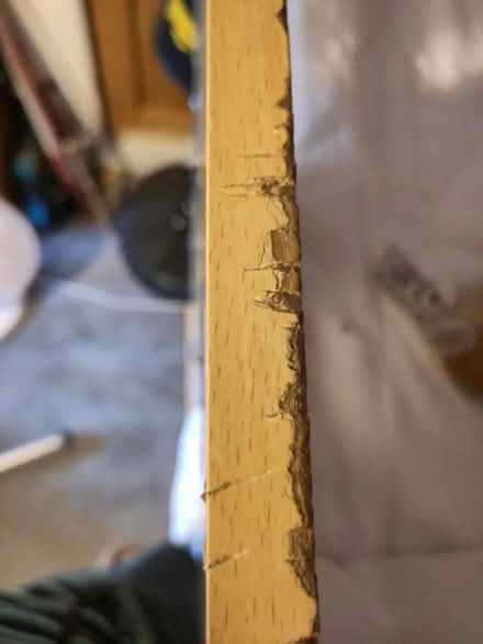 Photo of free Bunk beds (Cambridge, CB5) #3