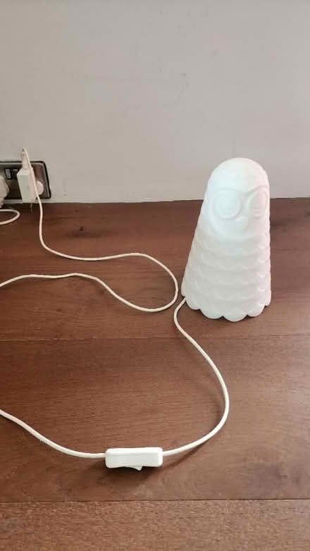 Photo of free Owl lamp (Sandycove) #1