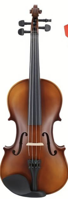Photo of Violin - Adult size (Berkshire, RG42) #1