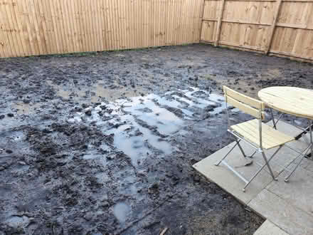 Photo of Plants! (Lostock Hall PR1) #1