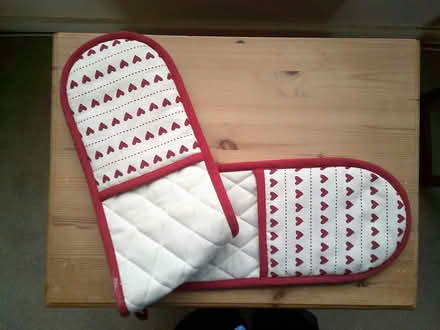Photo of free Double oven mitt (Fords Farm RG31) #1