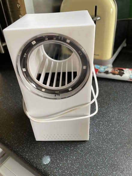 Photo of free Fly catcher (WA12) #1